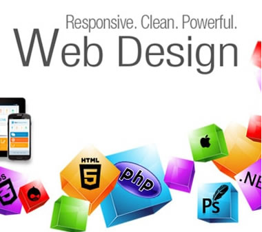Web Design